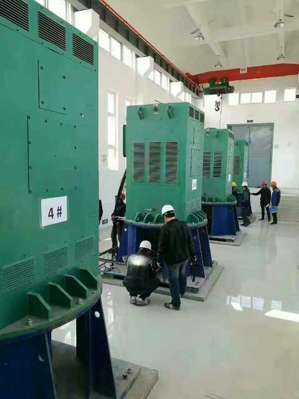 温州某污水处理厂使用我厂的立式高压电机安装现场