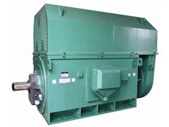 温州Y系列6KV高压电机
